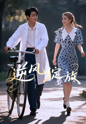 逆风绽放(55集) 逆风绽放(55集)全集完整版