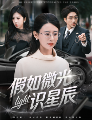 假如微光识星辰(58集) 假如微光识星辰(58集)在线观看全集