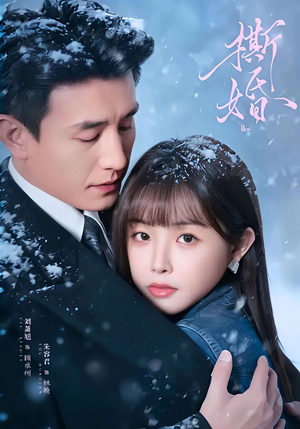 撕婚(23集) 撕婚(23集)精彩短剧后续