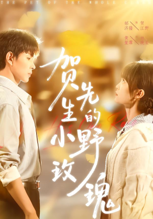 贺先生的小野玫瑰(99集) 贺先生的小野玫瑰(99集)每日短剧分享