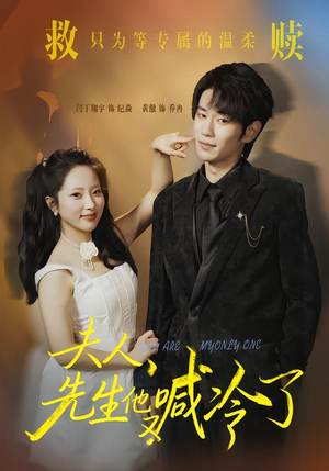 夫人,先生他又喊冷了(60集) 夫人,先生他又喊冷了(60集)直接看到大结局
