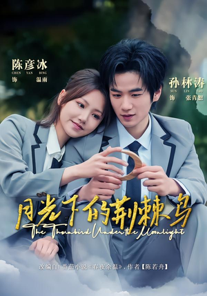 月光下的荆棘鸟(80集) 月光下的荆棘鸟(80集)免费在线看全集