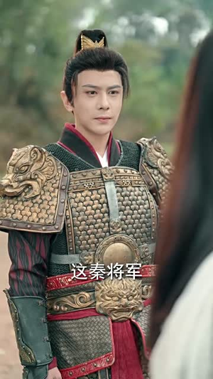 沙场秋点兵(61集) 沙场秋点兵(61集)好看吗