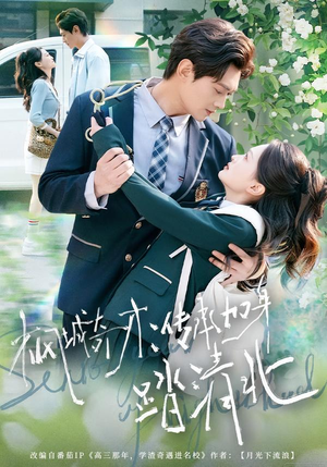 枫城奇才:传承加身踏清北(80集) 枫城奇才:传承加身踏清北(80集)在线观看全集