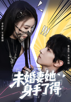 未婚妻她身手了得(50集) 未婚妻她身手了得(50集)口碑爆棚免费看