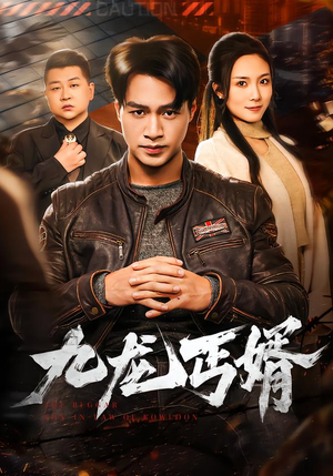 九龙丐婿(81集) 九龙丐婿(81集)高质量短剧推荐