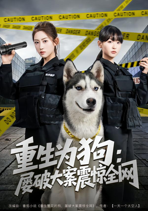 重生为狗屡破大案震惊全网(80集) 重生为狗屡破大案震惊全网(80集)集免费看短剧