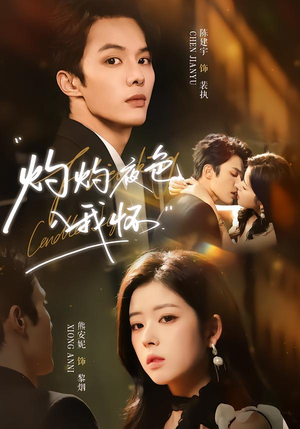 灼灼夜色入我怀（60集）在线看完整版