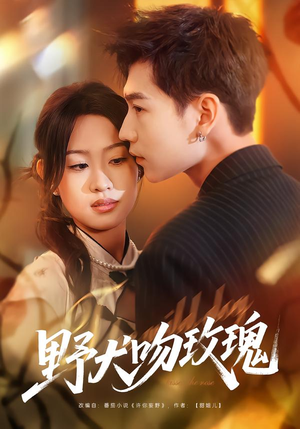 野犬吻玫瑰(70集) 野犬吻玫瑰(70集)免费看