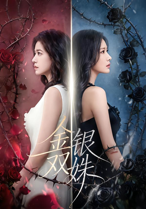 金银双姝(80集) 金银双姝(80集)热播短剧分享
