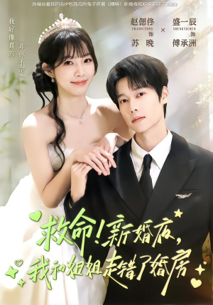 救命!新婚夜,我和姐姐走错了婚房(58集) 救命!新婚夜,我和姐姐走错了婚房(58集)今日最火短剧