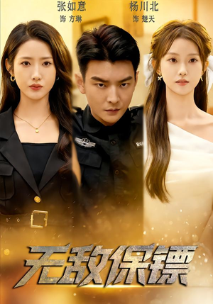 无敌保镖（62集）免费观看全集