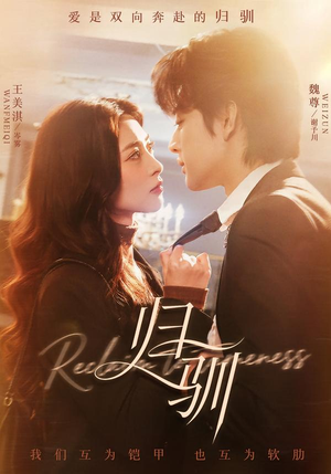 归驯（82集）短剧精彩推荐