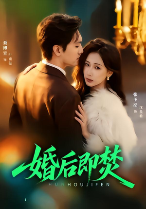 婚后即焚(77集) 婚后即焚(77集)看到大结局