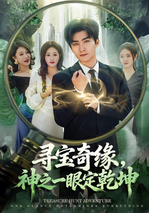 寻宝奇缘，神之一眼定乾坤（80集）夸克网盘观看