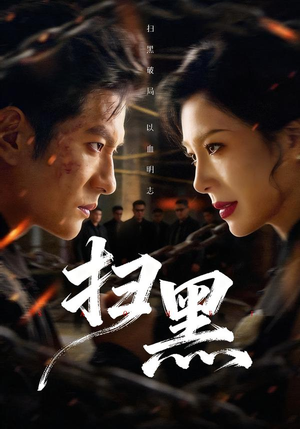 扫黑(70集) 扫黑(70集)短剧解说全集