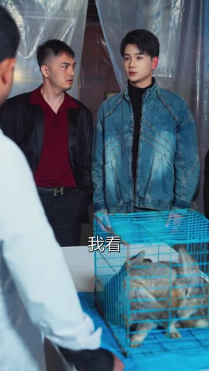 相亲遇警花，破案爽到飞起（80集）全集我都看完了