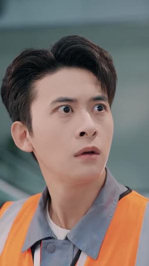 停飞后，我的航班坠毁了（100集）排行榜前十短剧