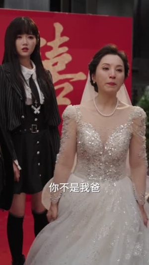 这个家我罩了（60集）看过的人都说好