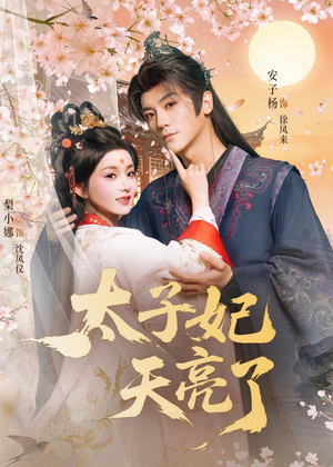 太子妃天亮了(80集) 太子妃天亮了(80集)最火短剧热播