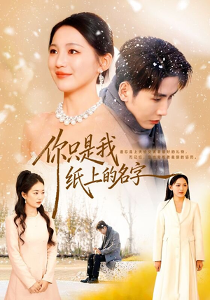 你只是我纸上的名字(68集) 你只是我纸上的名字(68集)热播短剧来袭