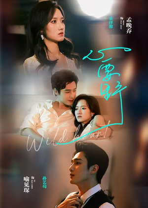 心要野（62集）全集我都看完了