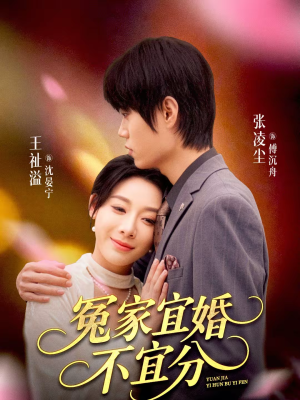 冤家宜婚不宜分（80集）夸克网盘在线看