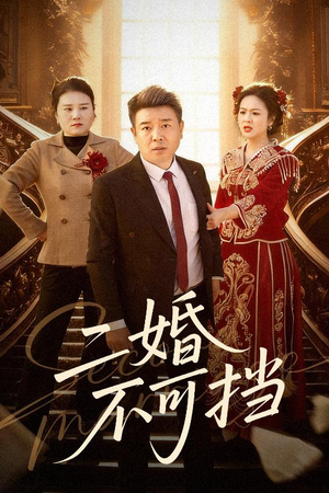 二婚不可挡（36集）爆款热门短剧