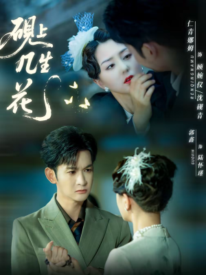 砚上几生花（62集）海量资源免费看