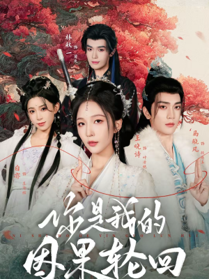 你是我的因果轮回（100集）大结局