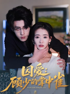 囚爱：顾少的掌中雀（70集）短剧片段推荐