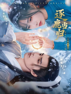 逐鹿当归（34集）口碑之选免费看