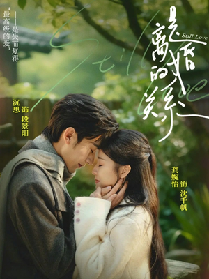 是离婚的关系（67集）精彩短剧下载