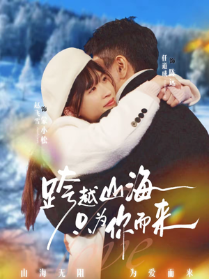 跨越山海只为你而来（30集）最后的大结局