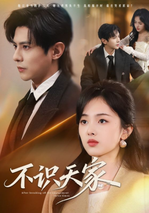 不识天家（69集）去哪里看