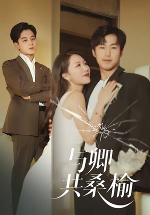 与卿共桑榆（63集）熬夜追短剧