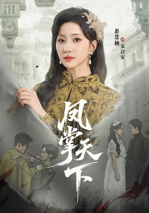 凤掌天下（64集）评价怎么样