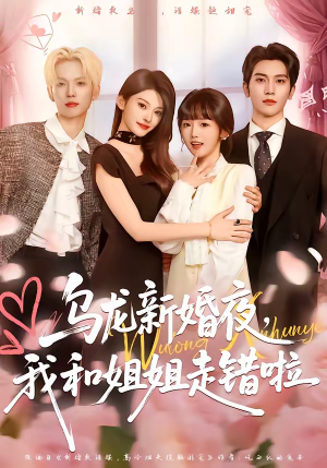 乌龙新婚夜，我和姐姐走错啦（59集）一个短剧看全集