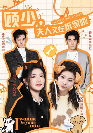 顾少，夫人又在拆家啦（78集）排行榜前十短剧