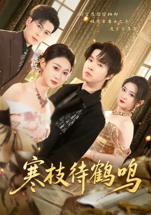 寒枝待鹤鸣（70集）短剧推荐来了