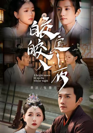 皎皎入寒夜（88集）网上可以看吗