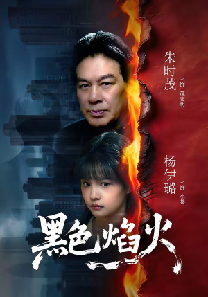 黑色焰火(41集) 黑色焰火(41集)一口气看完全集