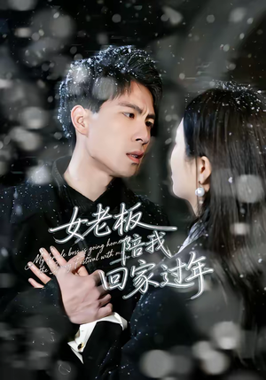 女老板陪我回家过年（40集）恋爱短剧分享