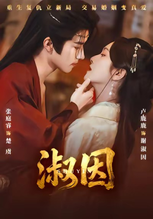 淑因(65集) 淑因(65集)在哪看