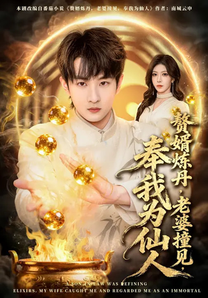 赘婿炼丹,老婆撞见,奉我为仙人(59集) 赘婿炼丹,老婆撞见,奉我为仙人(59集)短剧完整版免费
