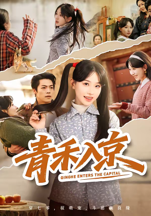 青禾入京（60集）短剧全集免费