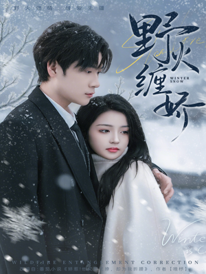 野火缠娇（66集）每天短剧分享