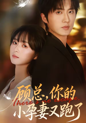 顾总，你的小孕妻又跑了（47集）抢先看新短剧