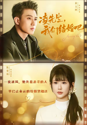 凌先生，我们结婚吧（68集）夸克网盘在线看