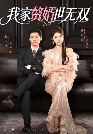 我家赘婿世无双（73集）解说文案